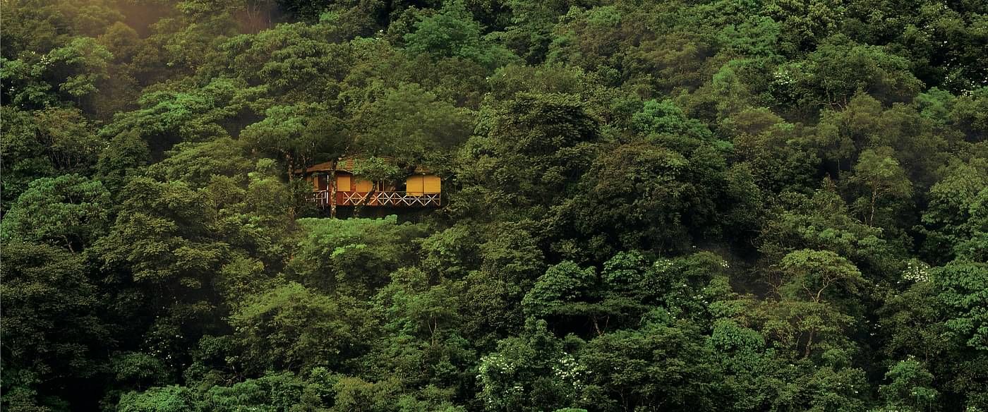 A long shot of some cottages nestled in the greenery | Vythiri Resort. Wayanad
